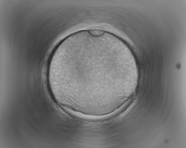 X0000116551506201001211151