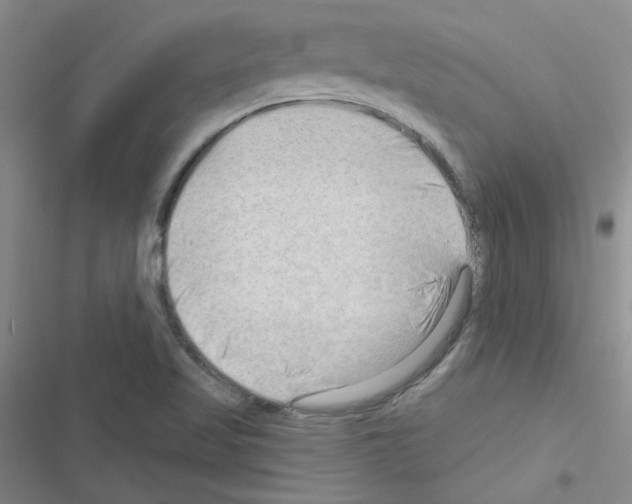 X0000116551509201001211151