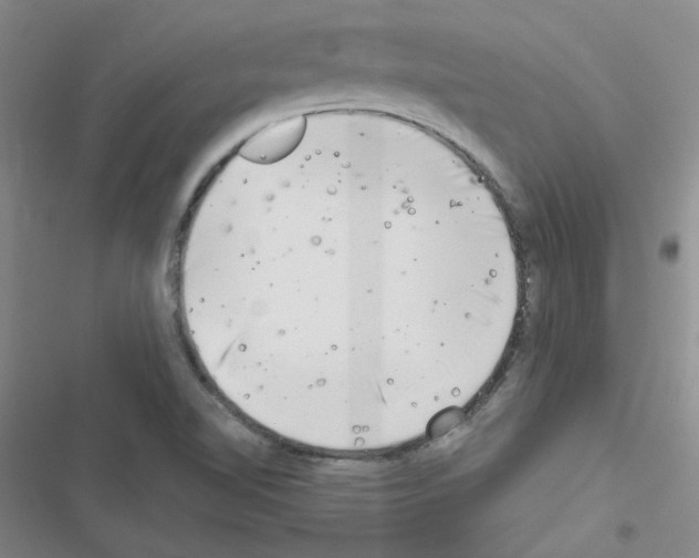 X0000116551510201001211151