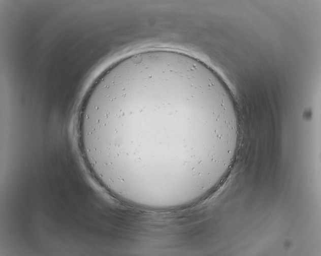 X0000116551511201001211151