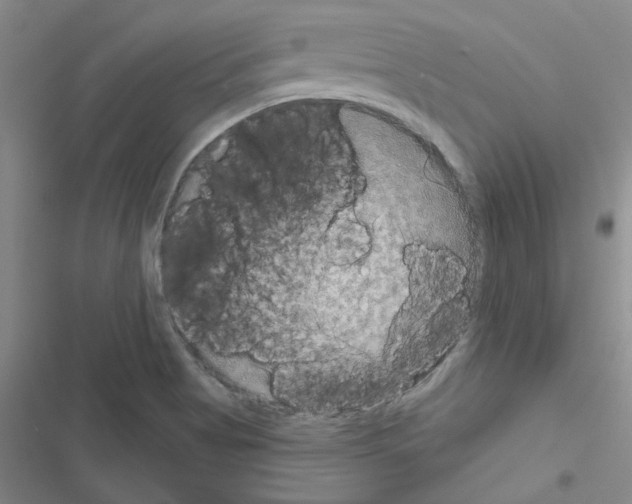 X0000116551513201001211151