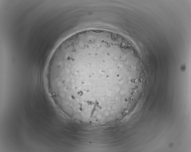 X0000116551514201001211151