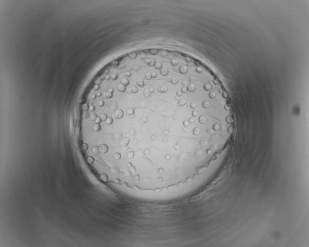 X0000116551515201001211151