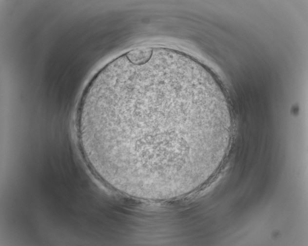 X0000116551517201001211151