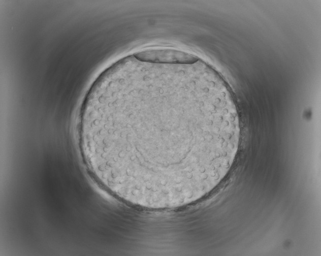 X0000116551519201001211151