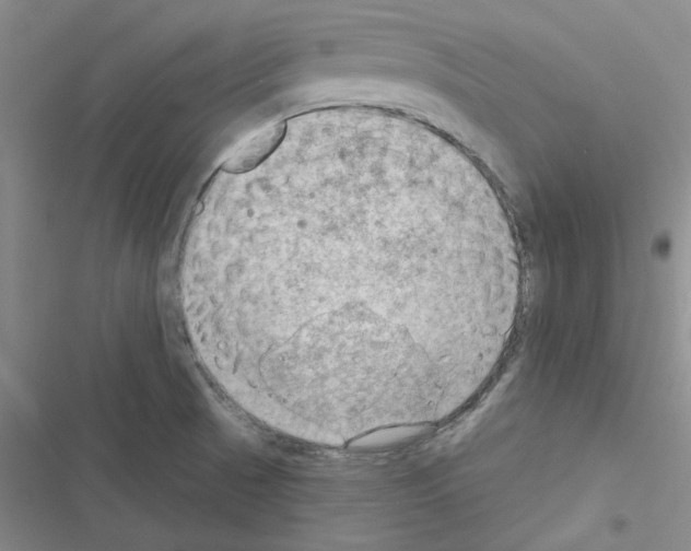 X0000116551521201001211151