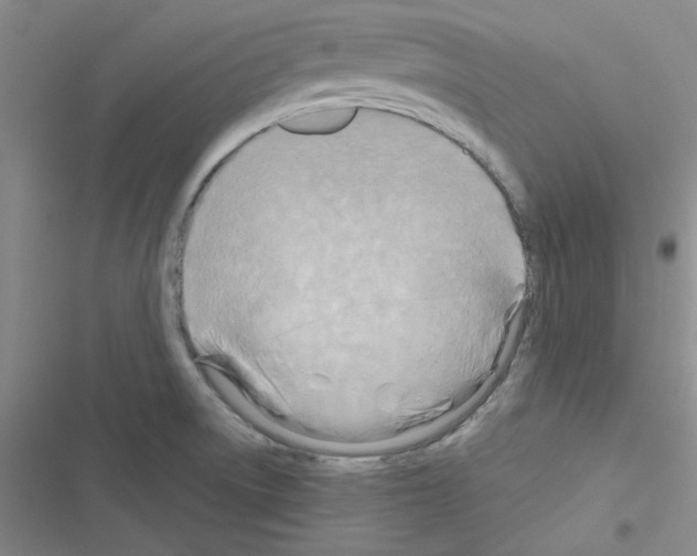 X0000116551522201001211151