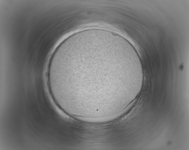 X0000116551523201001211151