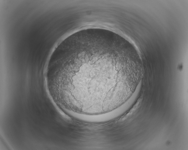 X0000116551525201001211151