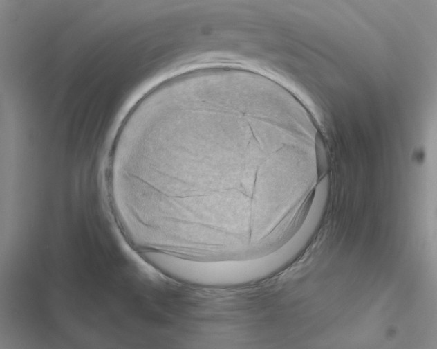 X0000116551527201001211151