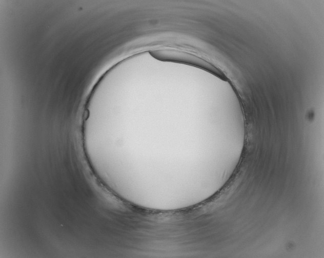 X0000116551530201001211151