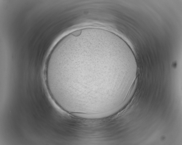 X0000116551531201001211151