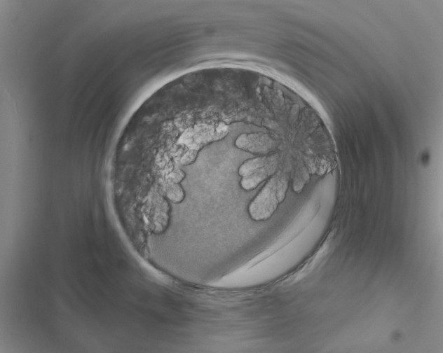 X0000116551533201001211151