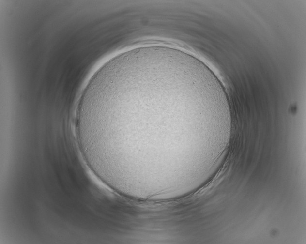 X0000116551535201001211151