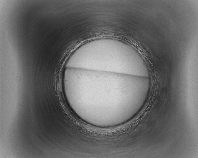 X0000116560002200912100953