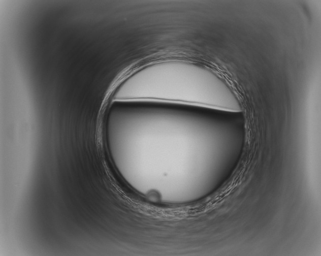 X0000116560004200912100953