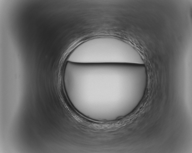 X0000116560005200912100952