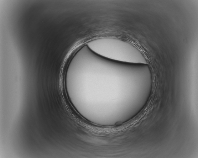 X0000116560006200912100952
