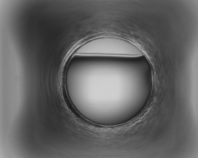 X0000116560007200912100952
