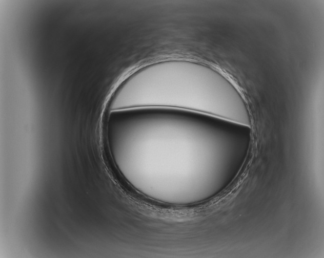 X0000116560008200912100952