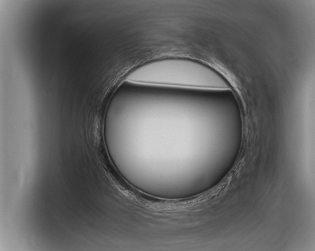 X0000116560009200912100952