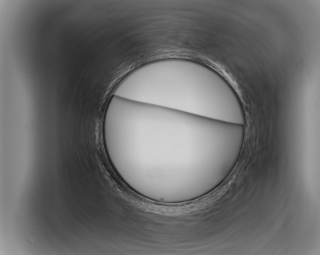 X0000116560010200912100952