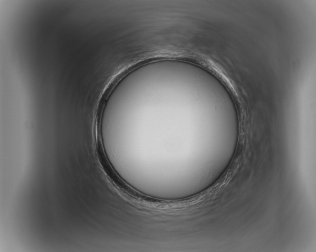 X0000116560011200912100952