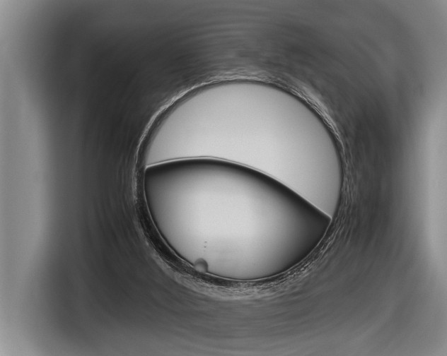X0000116560012200912100952