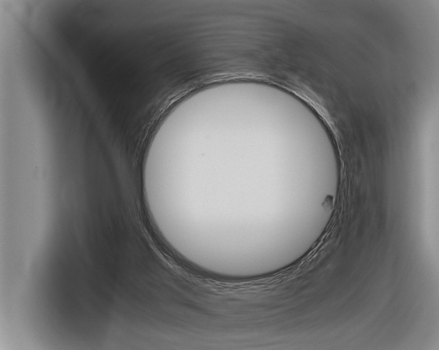 X0000116560013200912100952