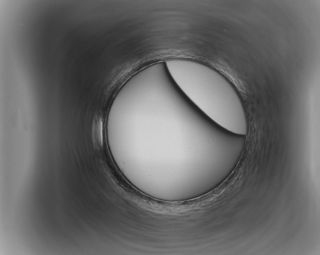 X0000116560014200912100952
