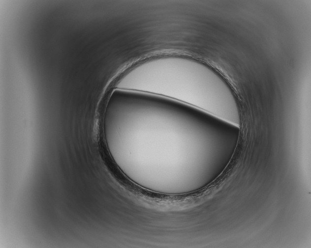 X0000116560016200912100952