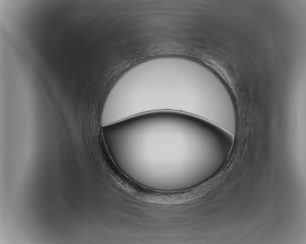 X0000116560017200912100952