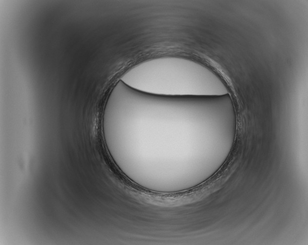 X0000116560018200912100952