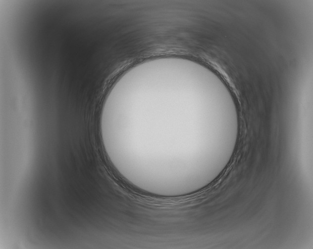 X0000116560019200912100952