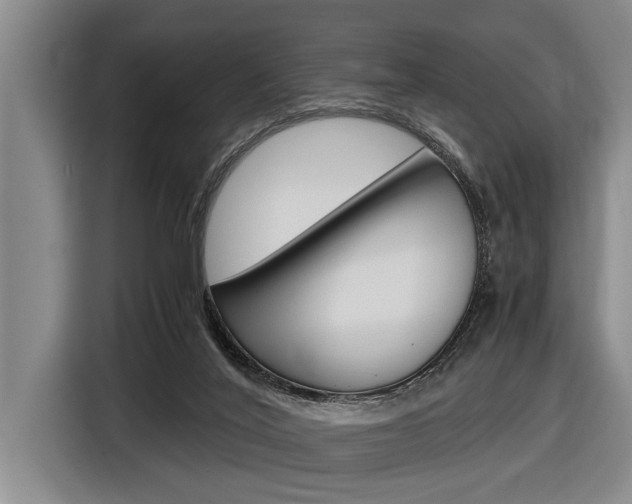 X0000116560020200912100952