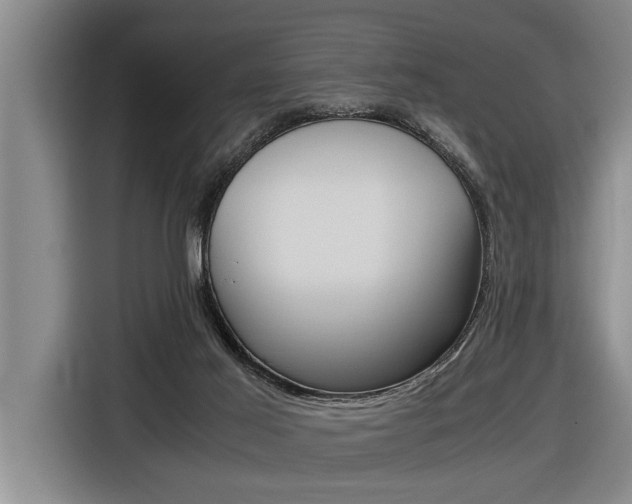 X0000116560021200912100952