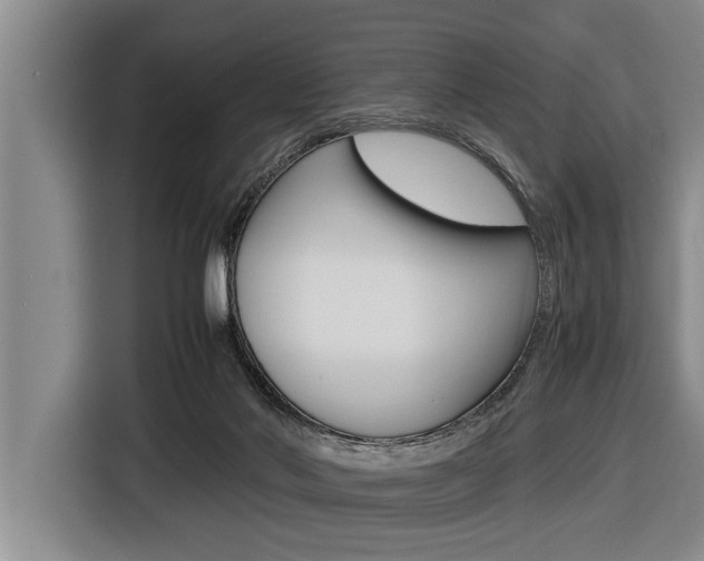 X0000116560022200912100952
