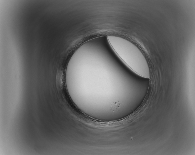 X0000116560023200912100952