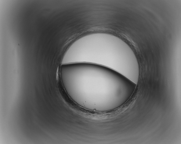 X0000116560024200912100952