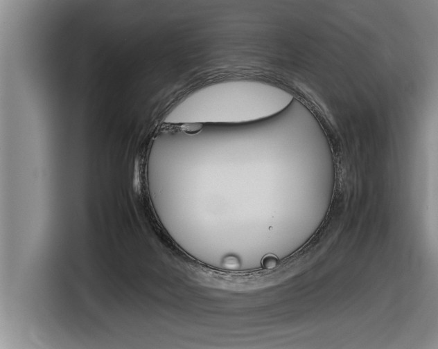 X0000116560026200912100952