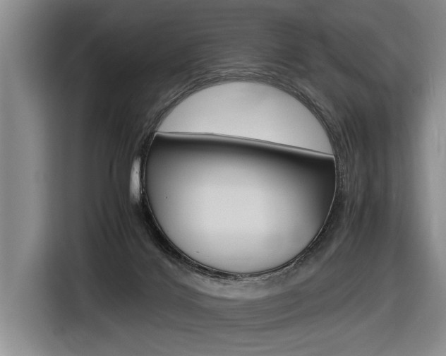 X0000116560028200912100952