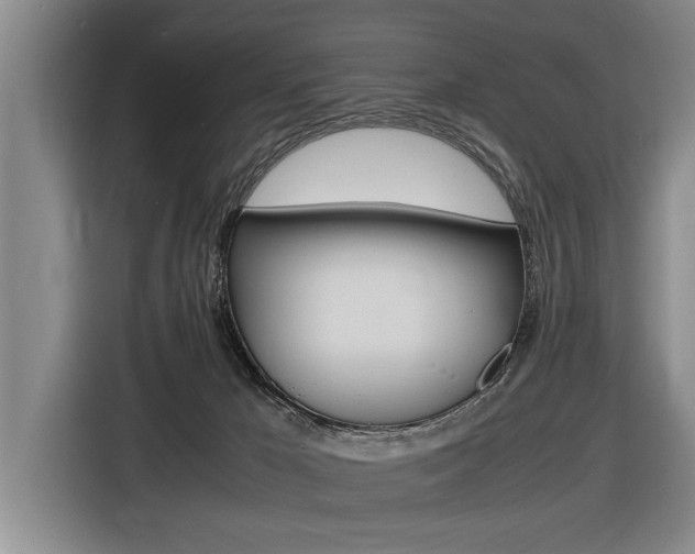 X0000116560029200912100952