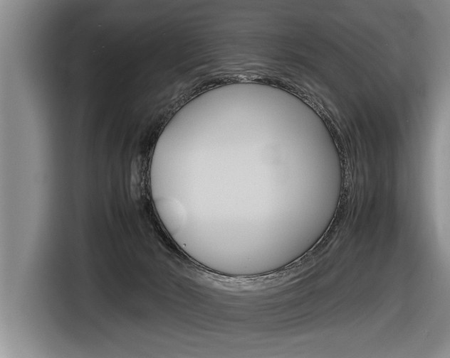 X0000116560030200912100952