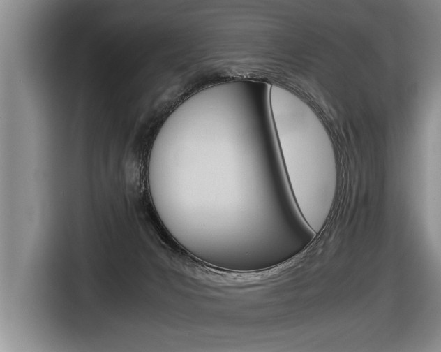 X0000116560031200912100952