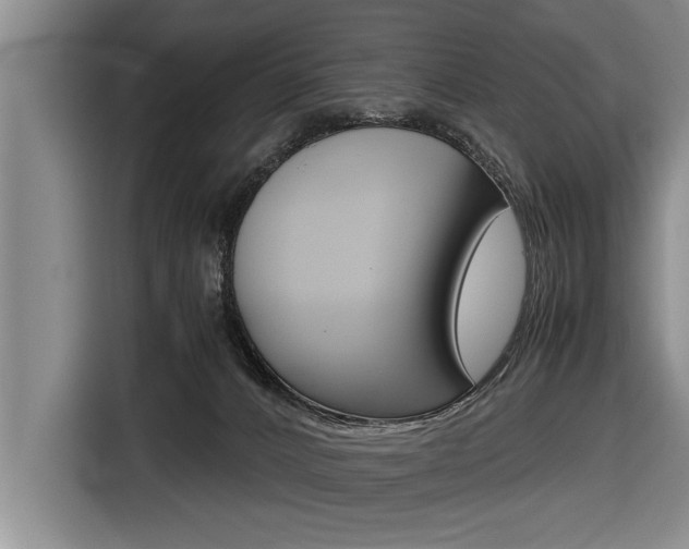 X0000116560032200912100952