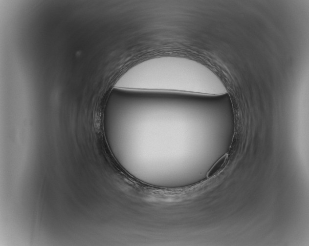 X0000116560033200912100952