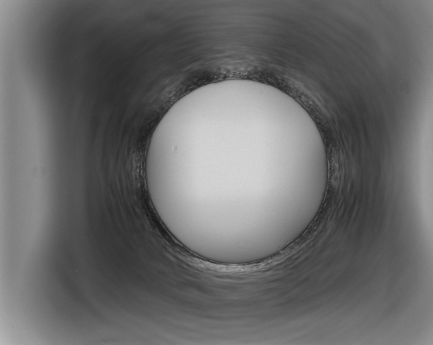 X0000116560034200912100952