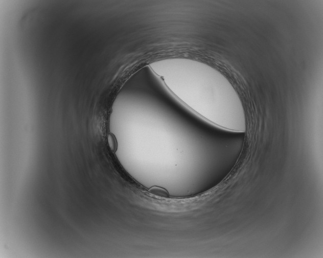 X0000116560035200912100952