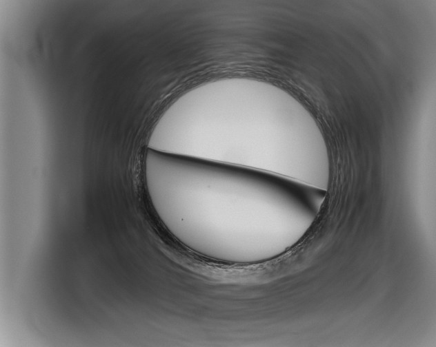 X0000116560036200912100952