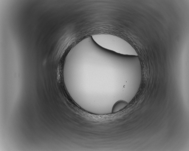 X0000116560038200912100952